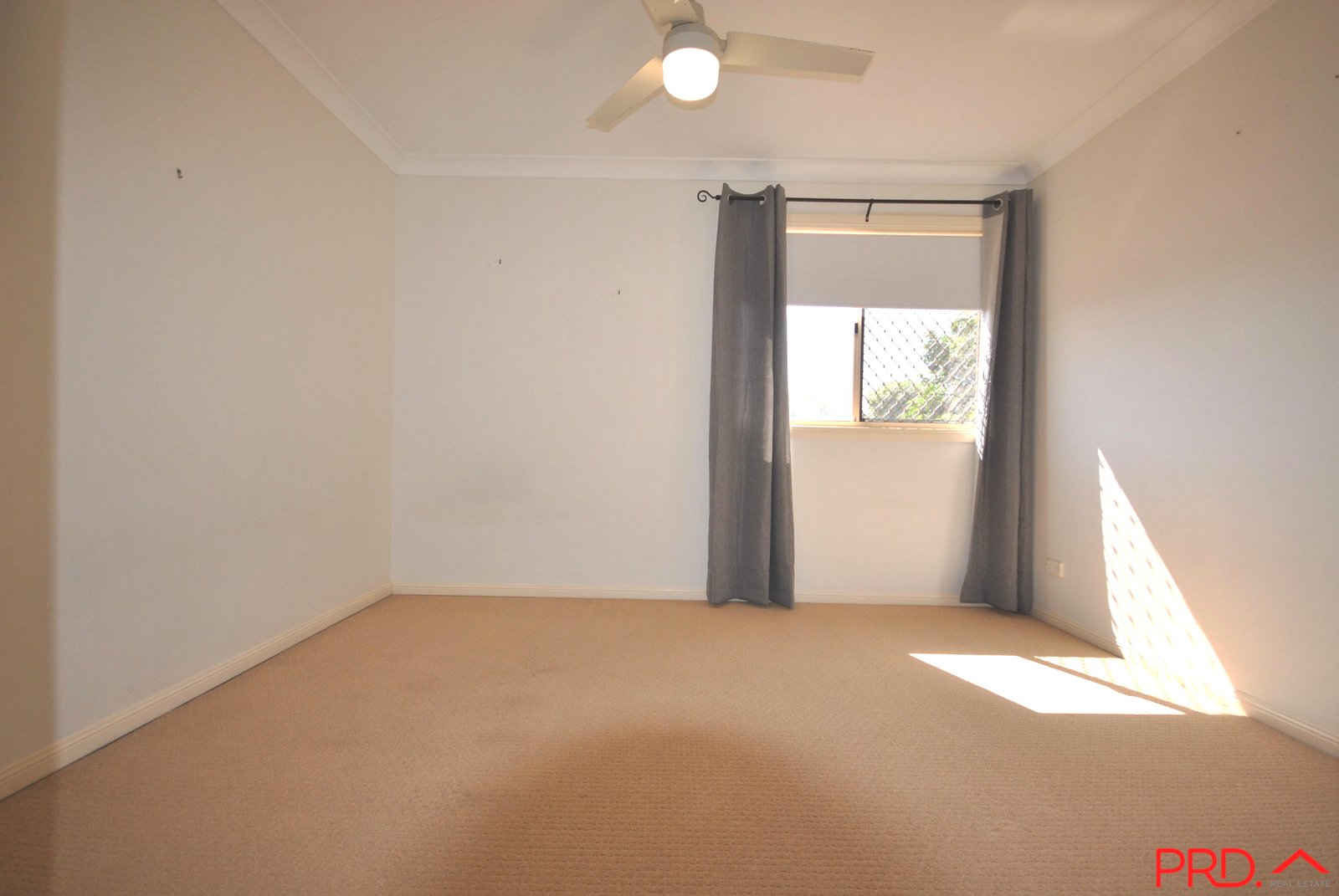 1/38A Middle Street LABRADOR 8