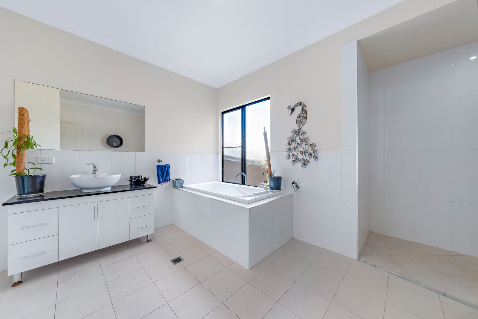 1/39 Beth Court CANNONVALE 14