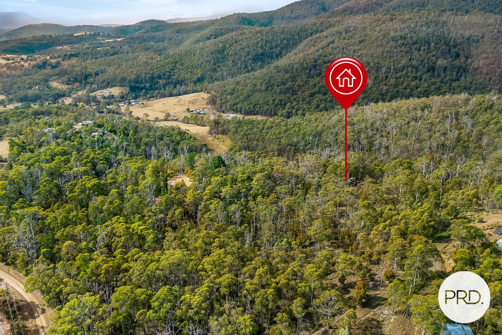 139 Jefferys Track LACHLAN 2