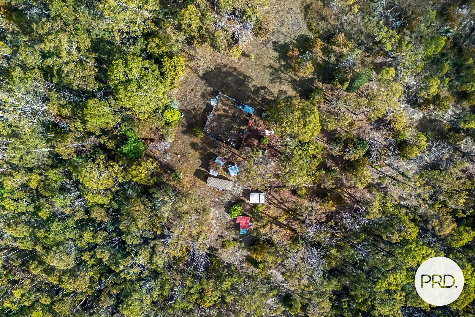 139 Jefferys Track LACHLAN 16