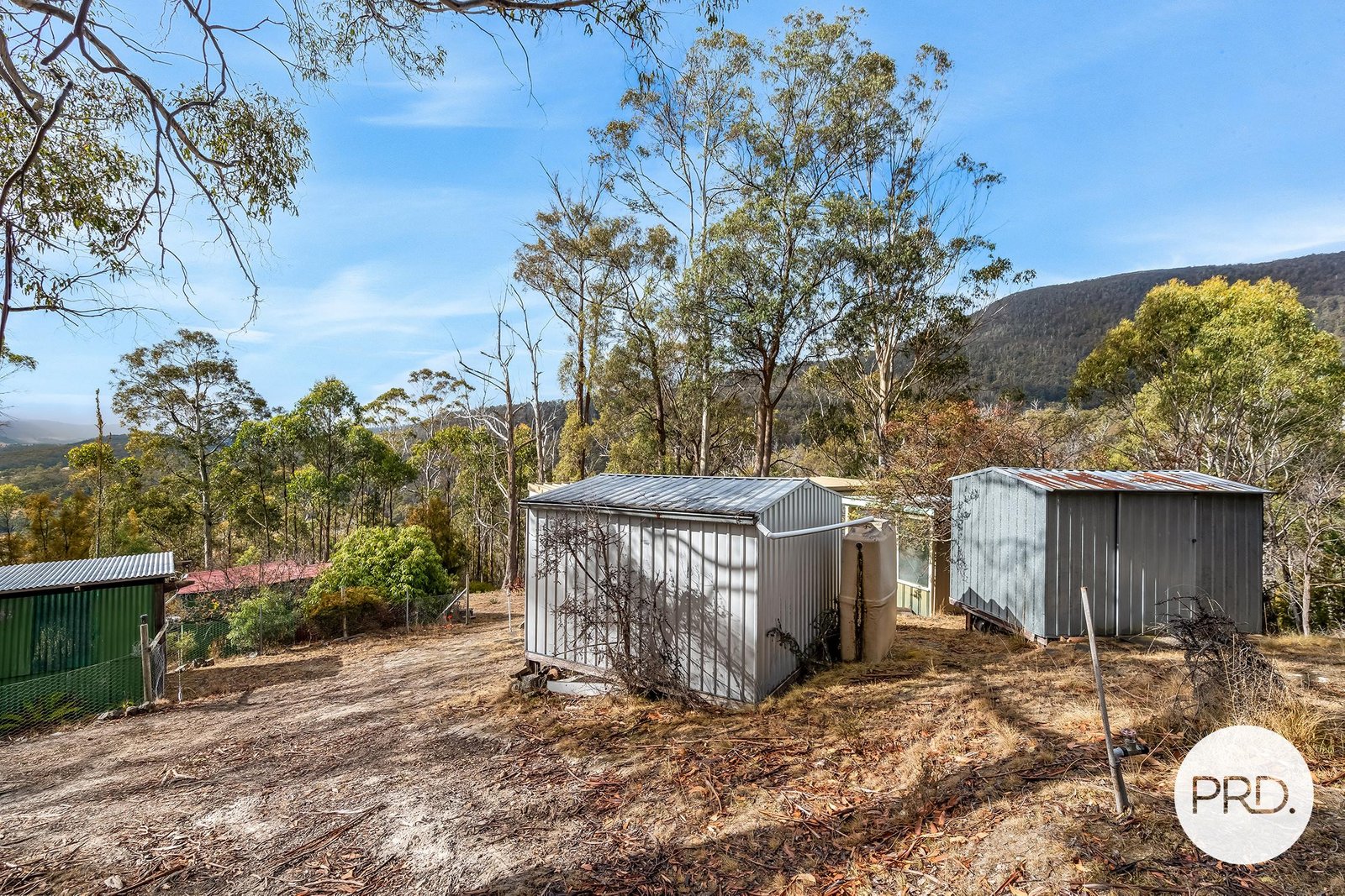 139 Jefferys Track LACHLAN 21