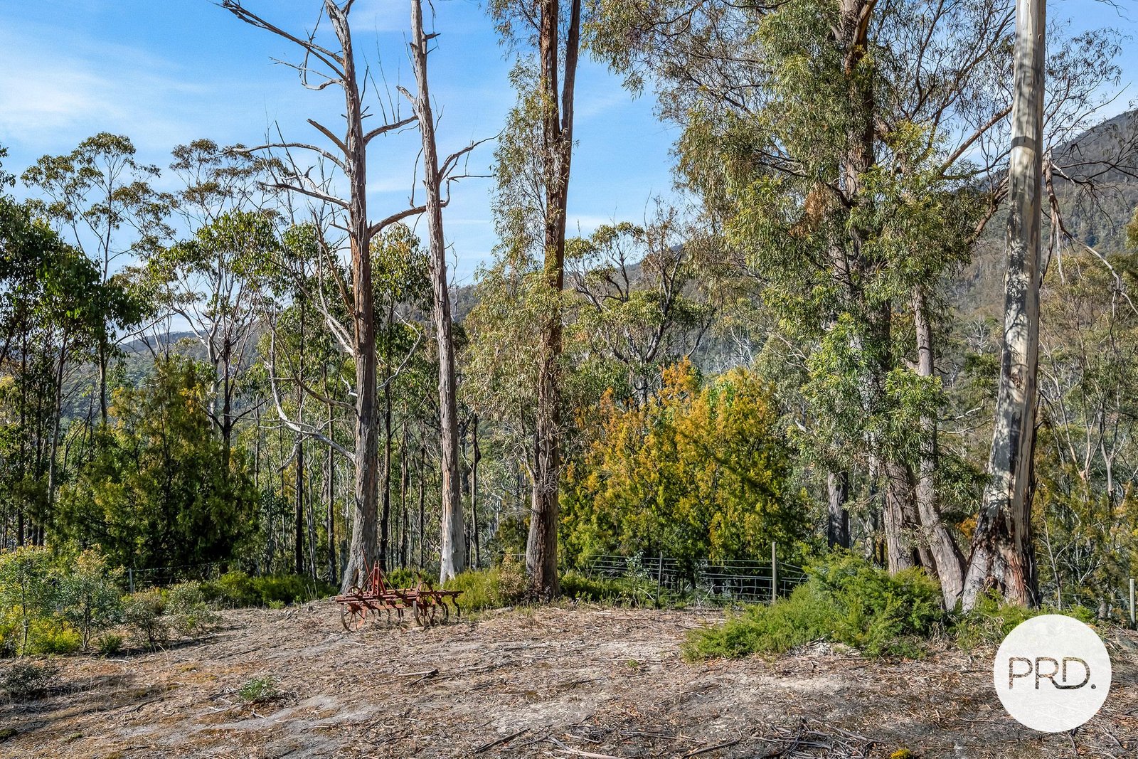 139 Jefferys Track LACHLAN 24