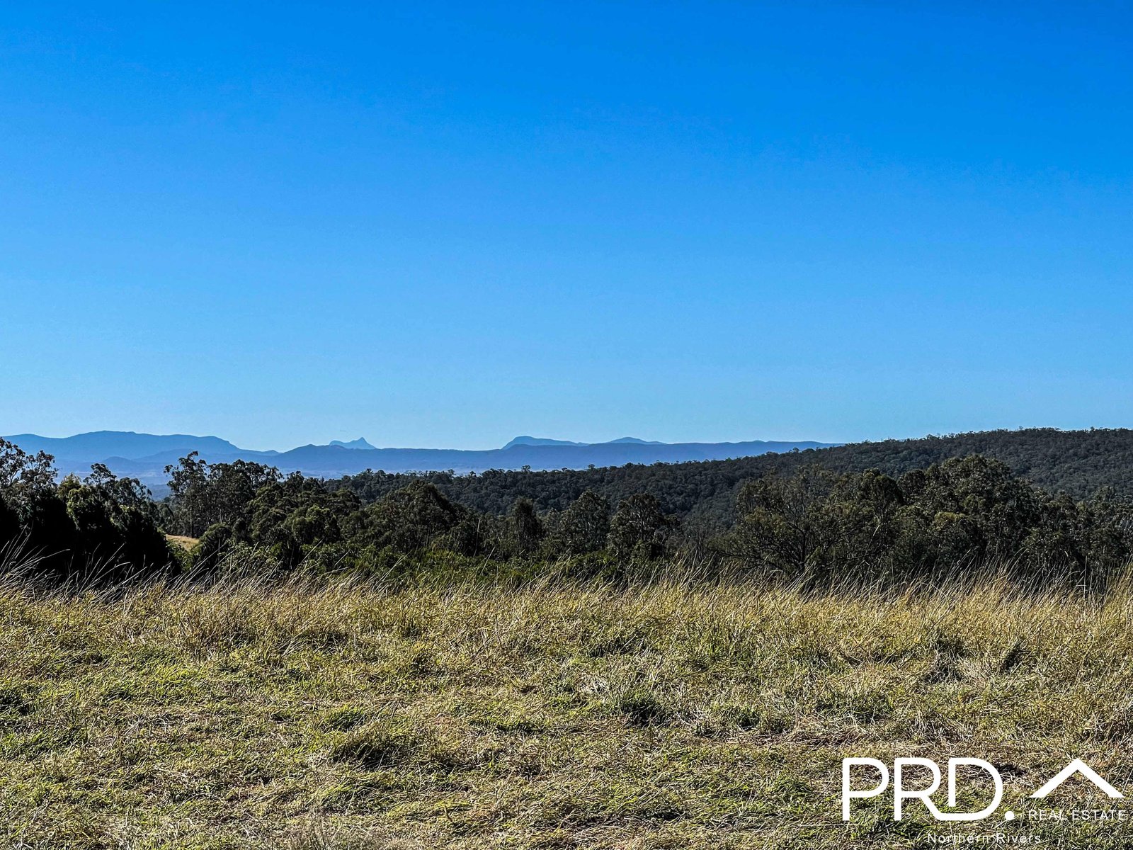 1390 Hogarth Range Road HOGARTH RANGE 6