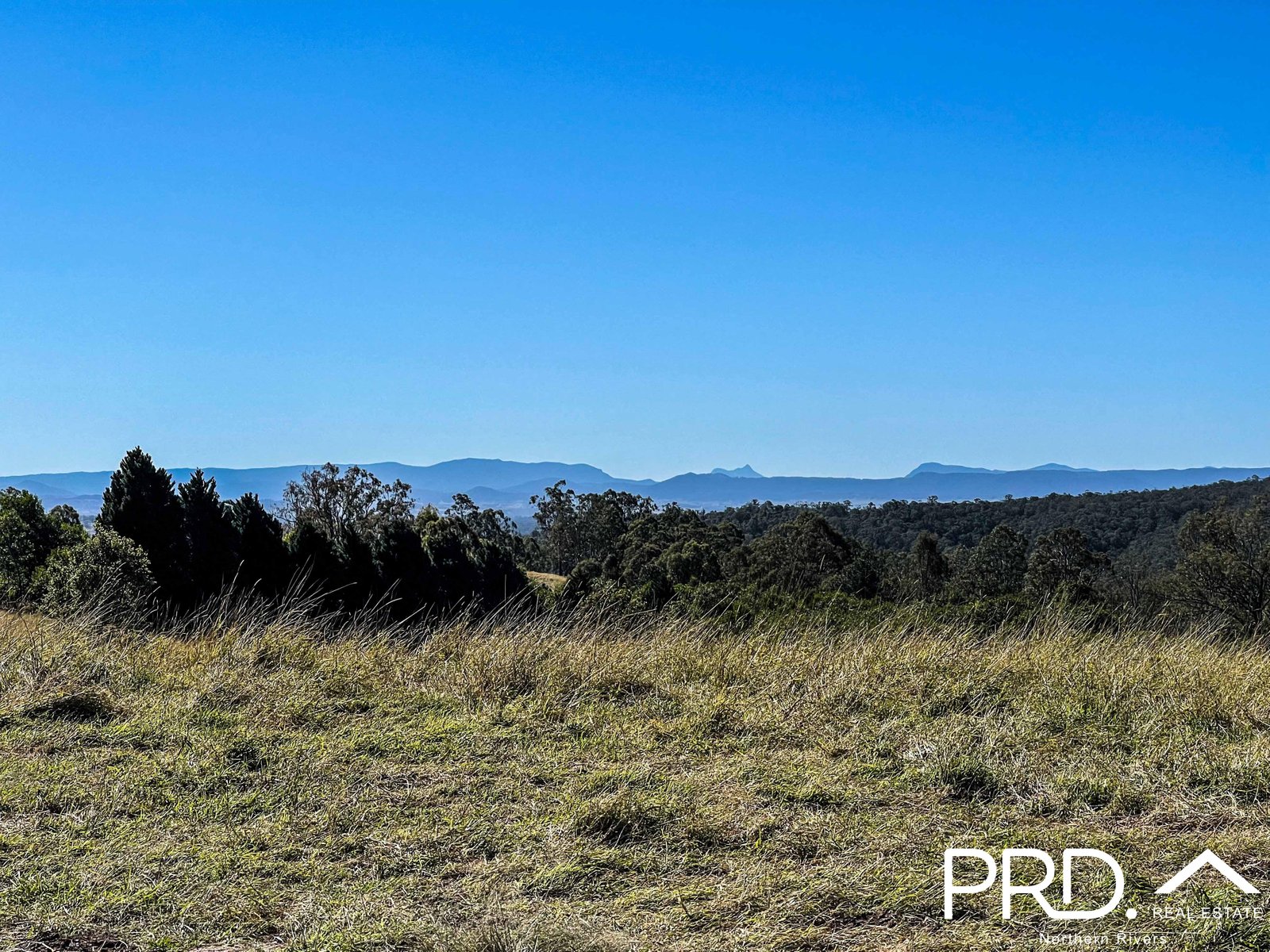 1390 Hogarth Range Road HOGARTH RANGE 8