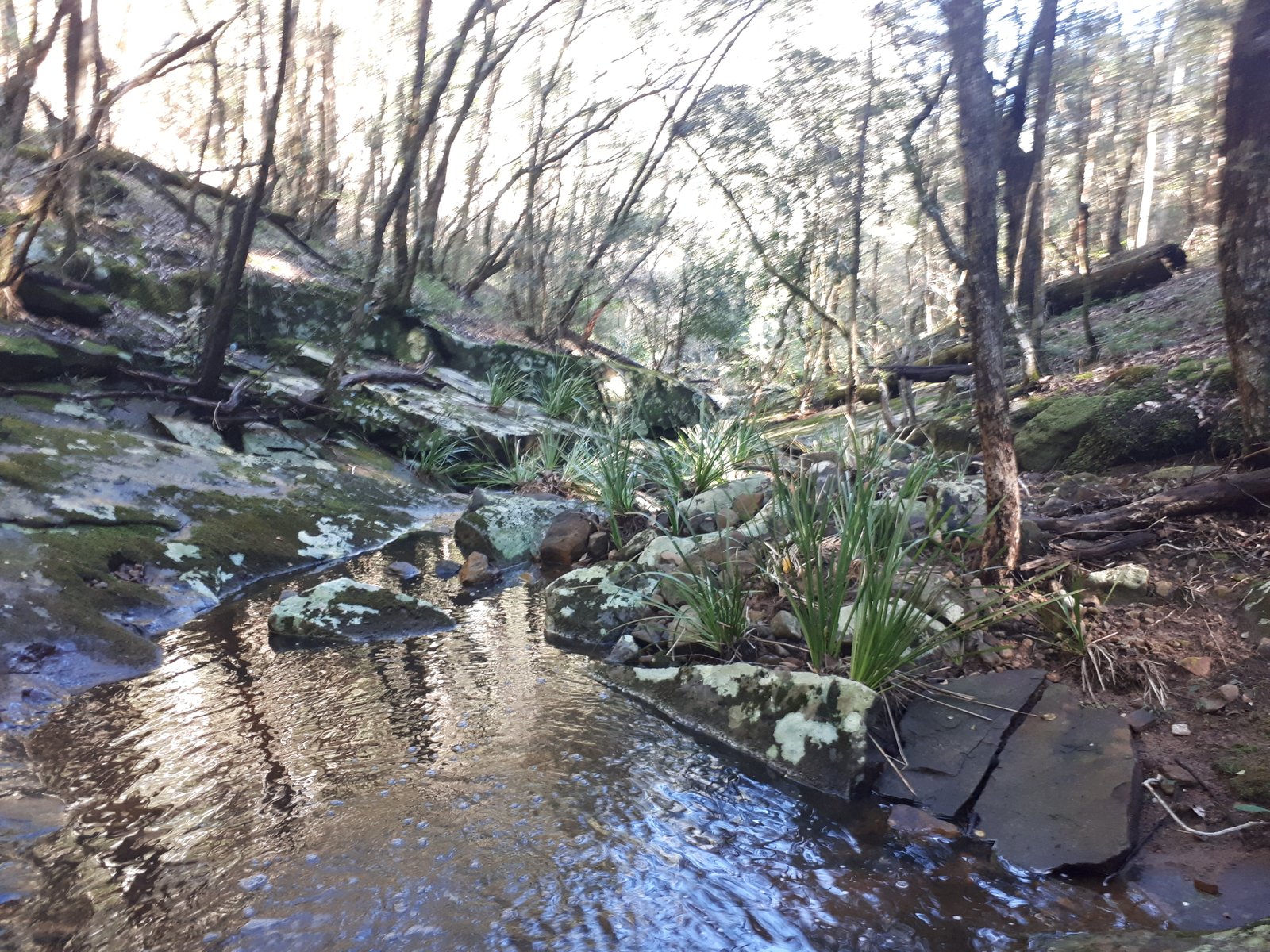 1391 The Branch Lane NORTH ARM COVE 2