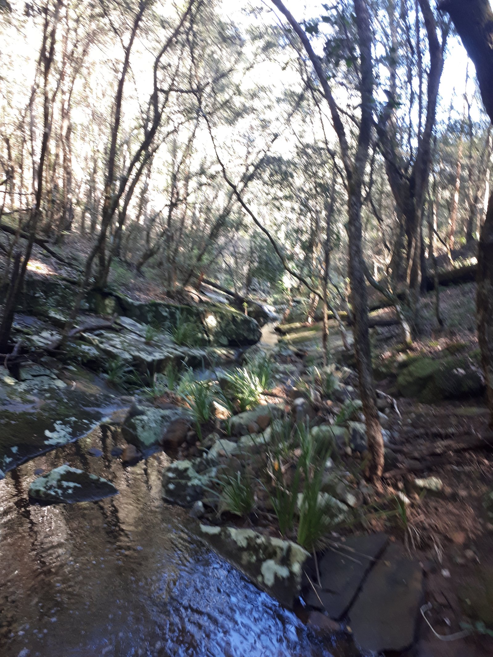 1391 The Branch Lane NORTH ARM COVE 4