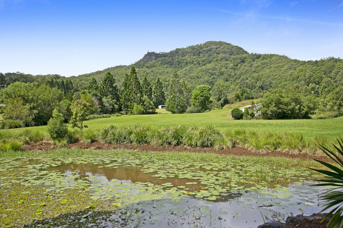 1395 Tallebudgera Creek Road Tallebudgera Valley 16