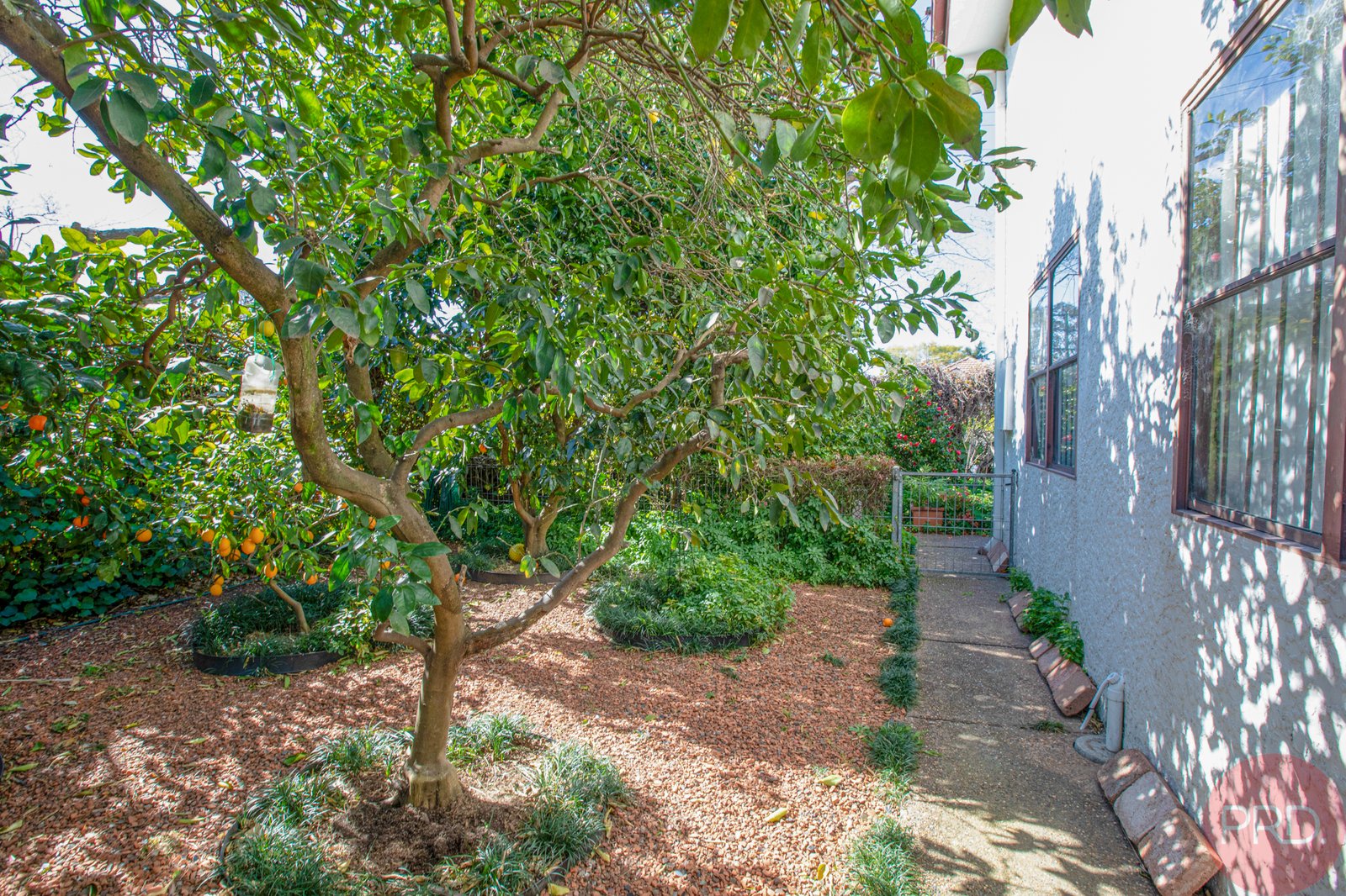 13A Allan Street LORN 26