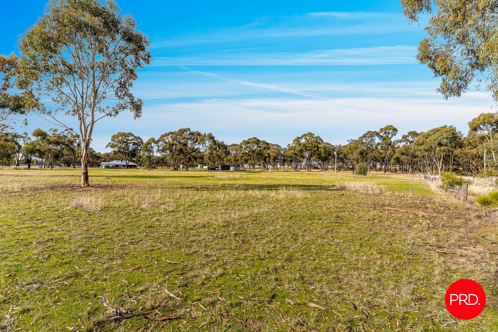 13A Weeah Street INGLEWOOD 7