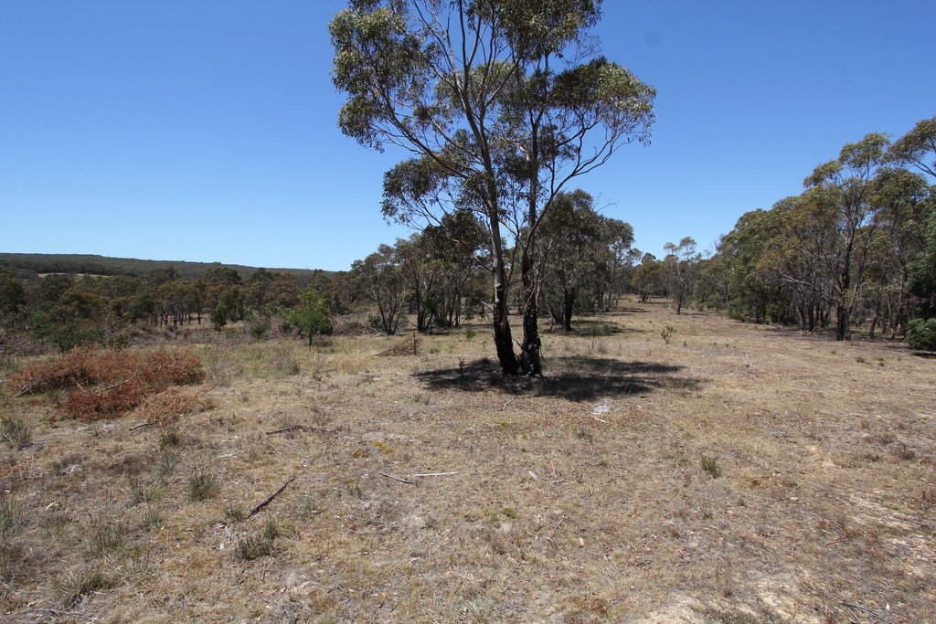 13B, D, E & F Donald McLeans Road BERRINGA 1