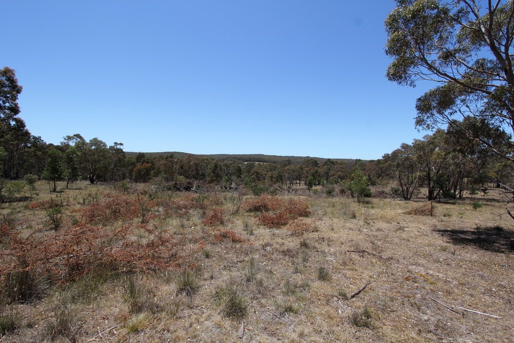 13B, D, E & F Donald McLeans Road BERRINGA 4