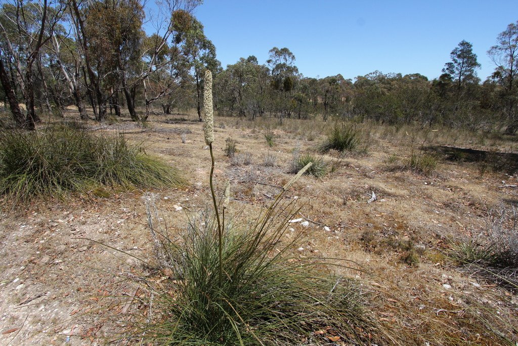 13B, D, E & F Donald McLeans Road BERRINGA 7