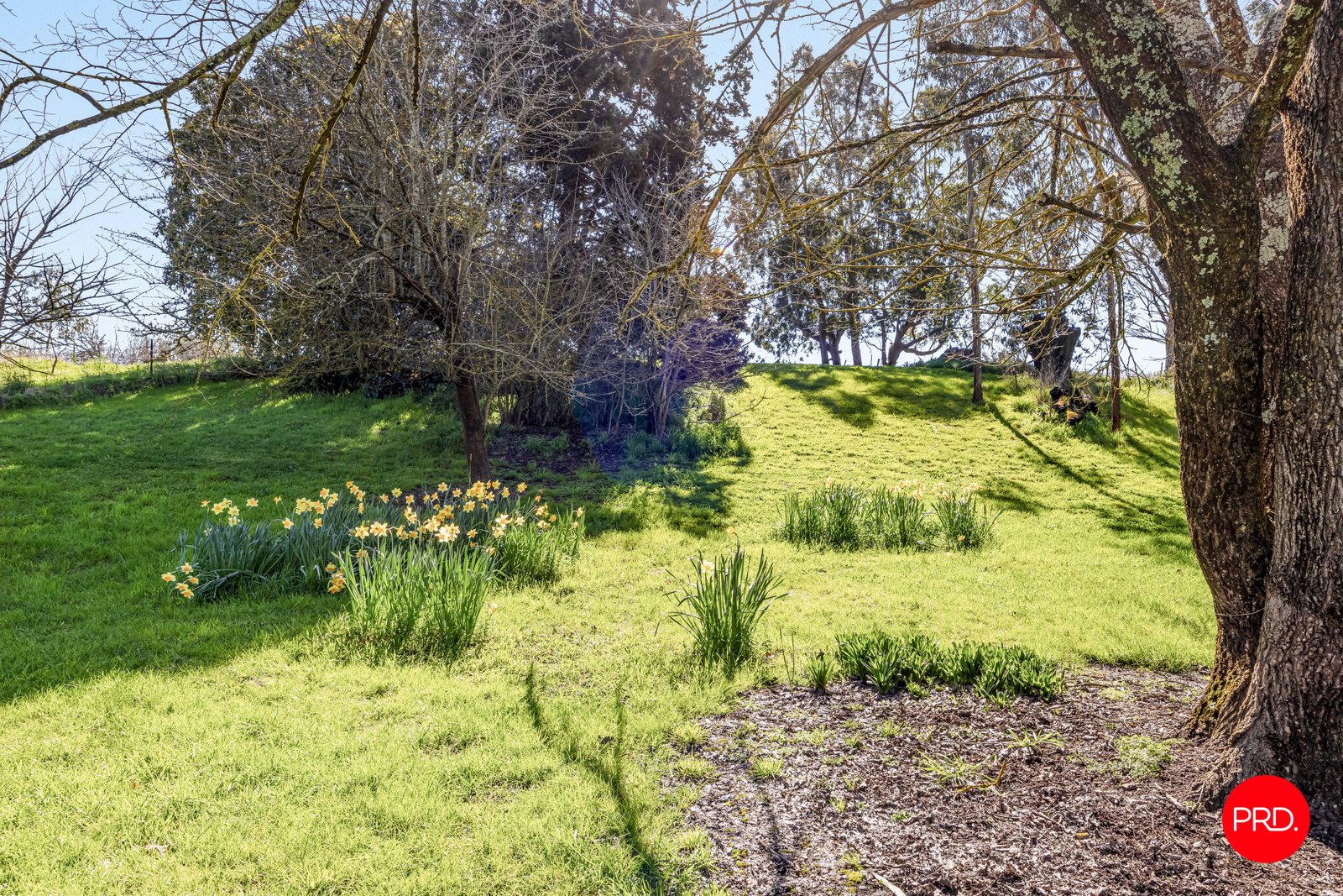 14-16 Latrobe Street KYNETON 13