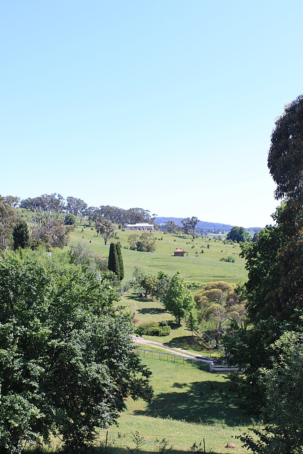 14 Albury Close TUMBARUMBA 17