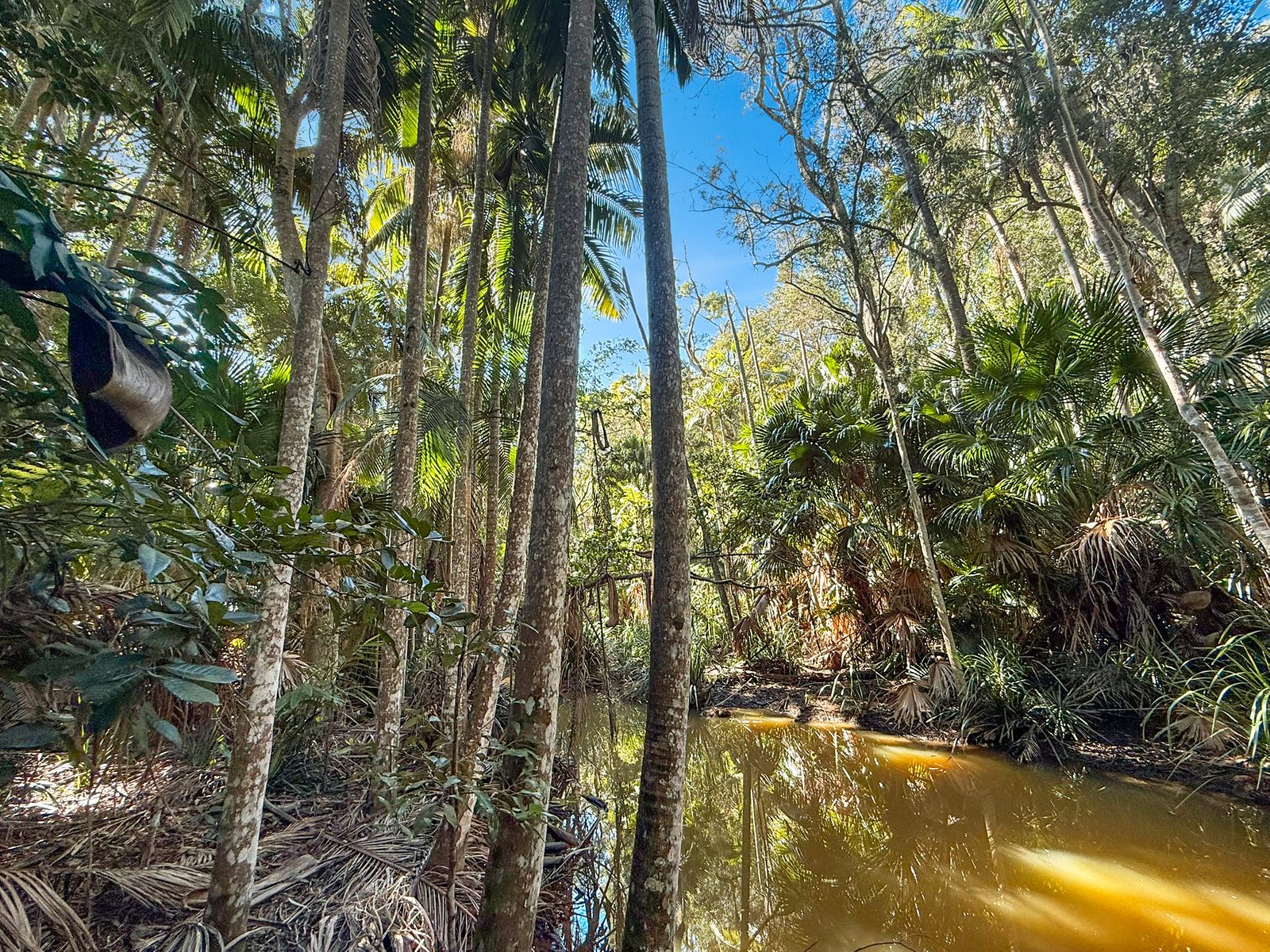 14 Alkina Avenue PORT MACQUARIE 7