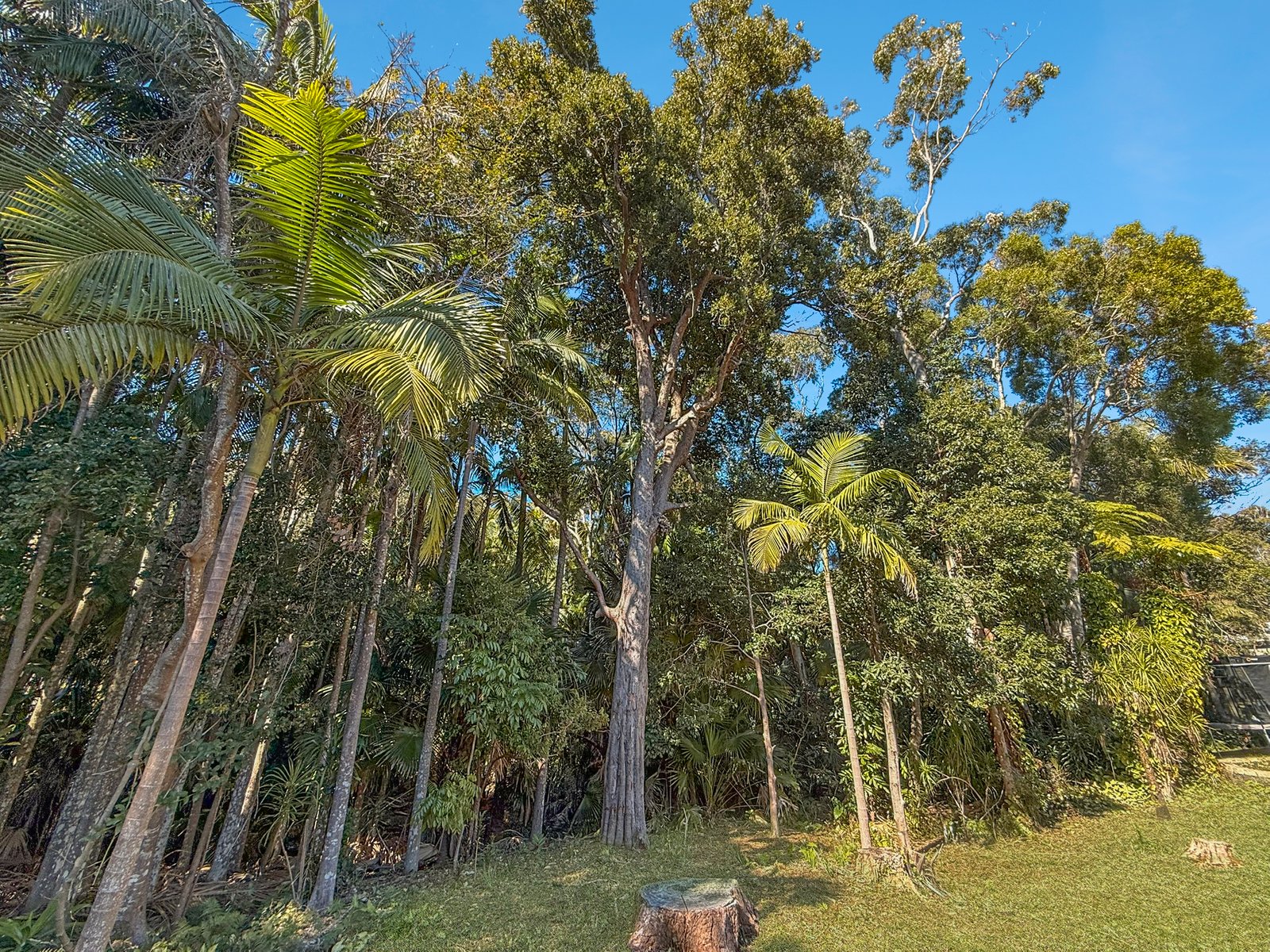 14 Alkina Avenue PORT MACQUARIE 13
