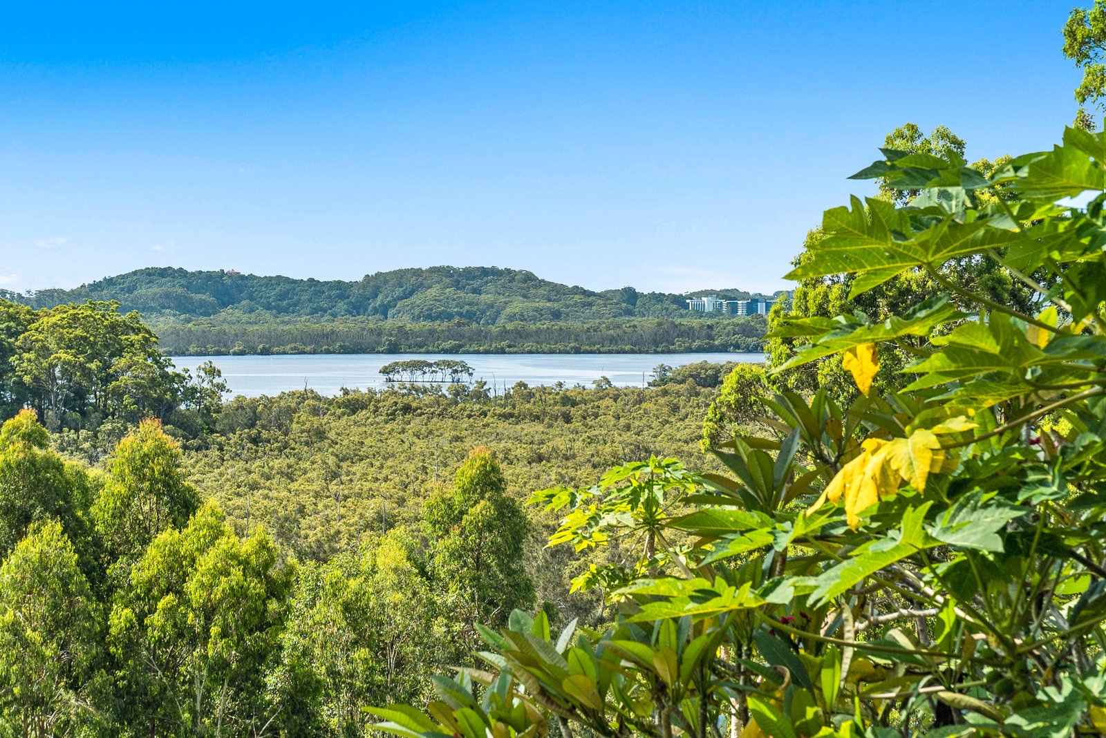 14 Anconia Avenue TWEED HEADS WEST 2