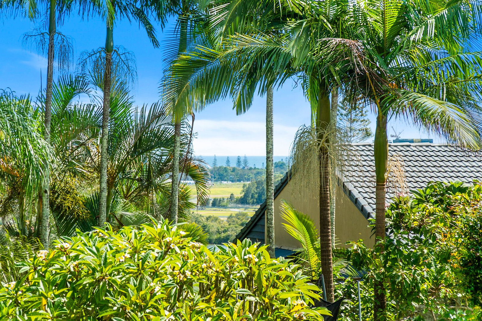 14 Anconia Avenue TWEED HEADS WEST 20