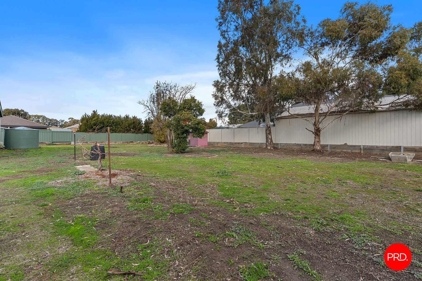 14 Arrawalli Avenue ASCOT 17