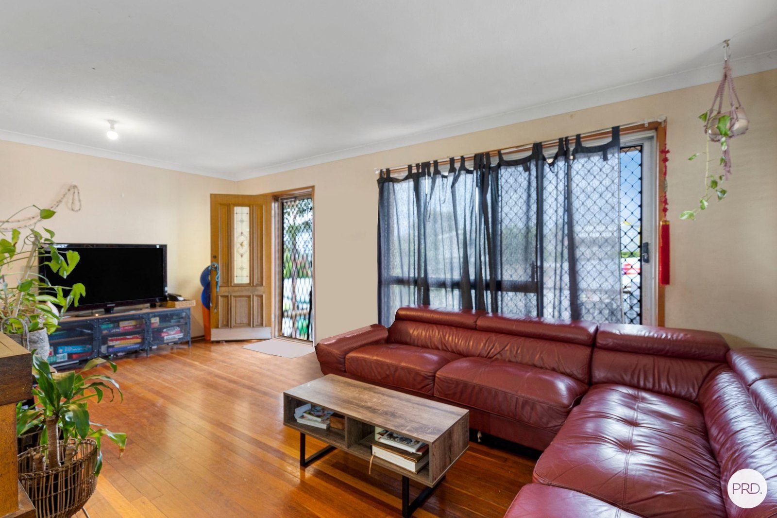 14 Ashton Street LABRADOR 2