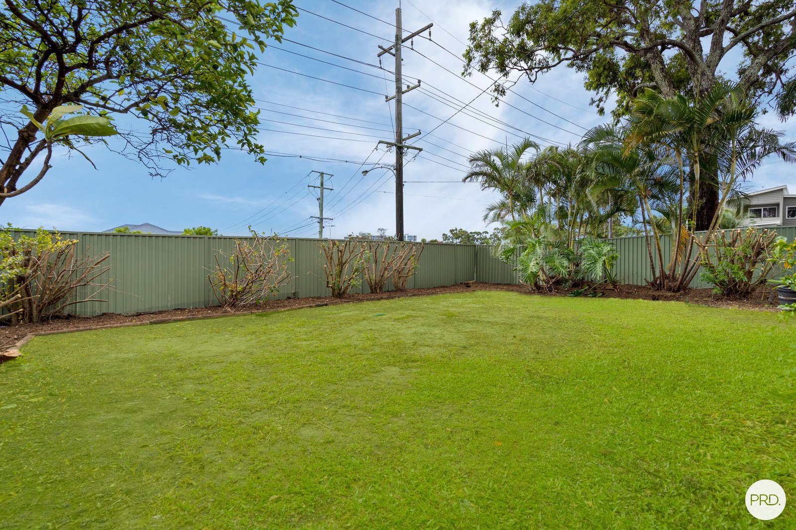 14 Ashton Street LABRADOR 10