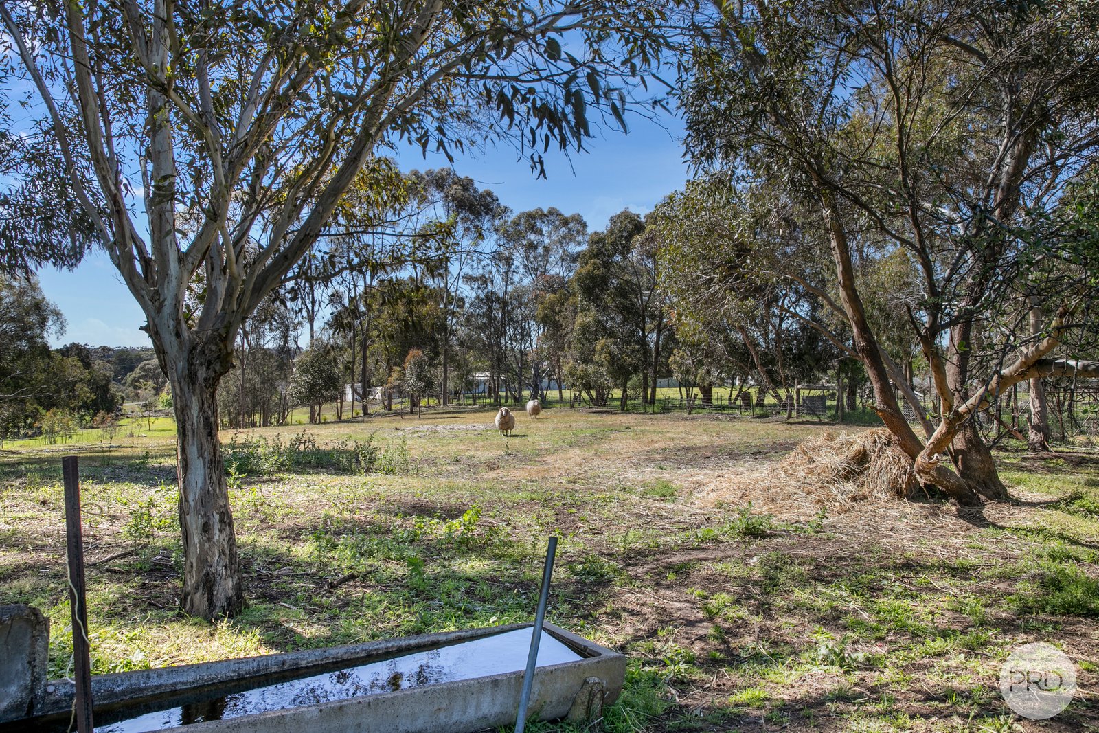 14 Beaufort Road SKIPTON 15