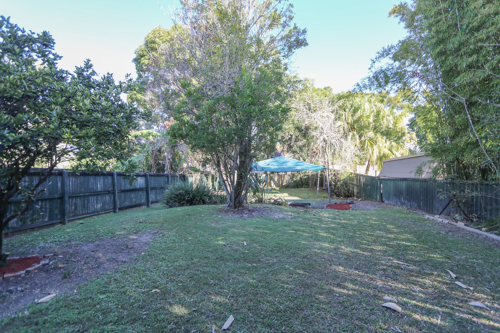 14 Beitz Avenue LABRADOR 2