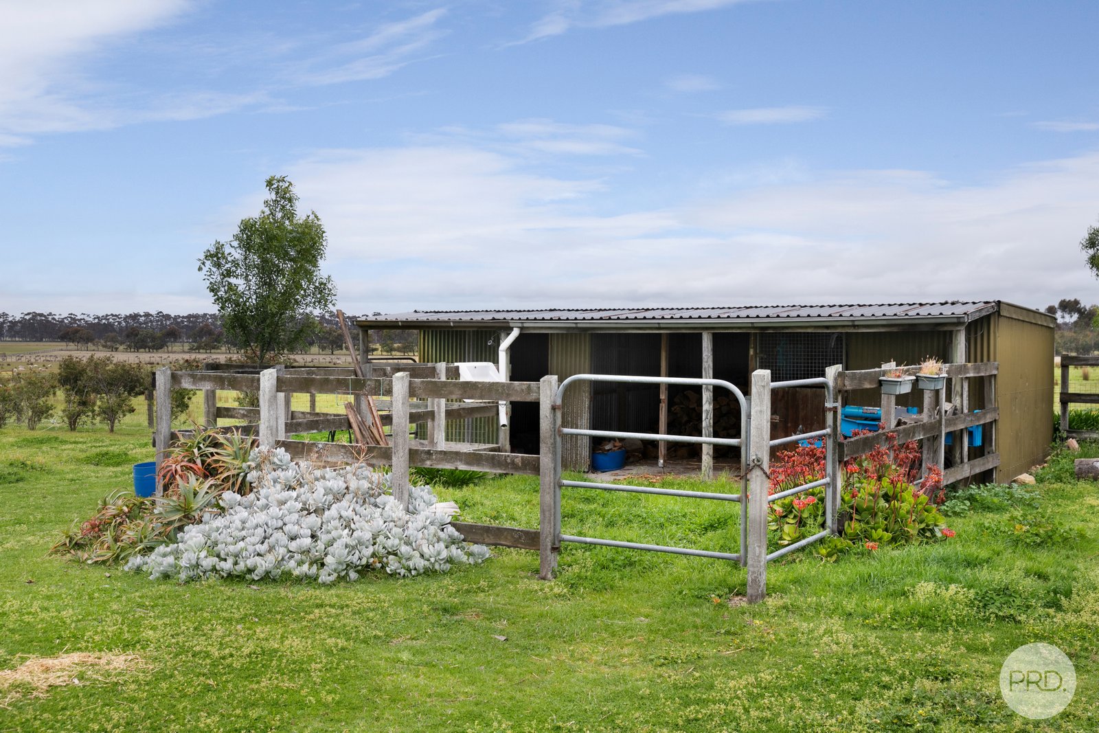14 Camperdown-Lismore Road LISMORE 16