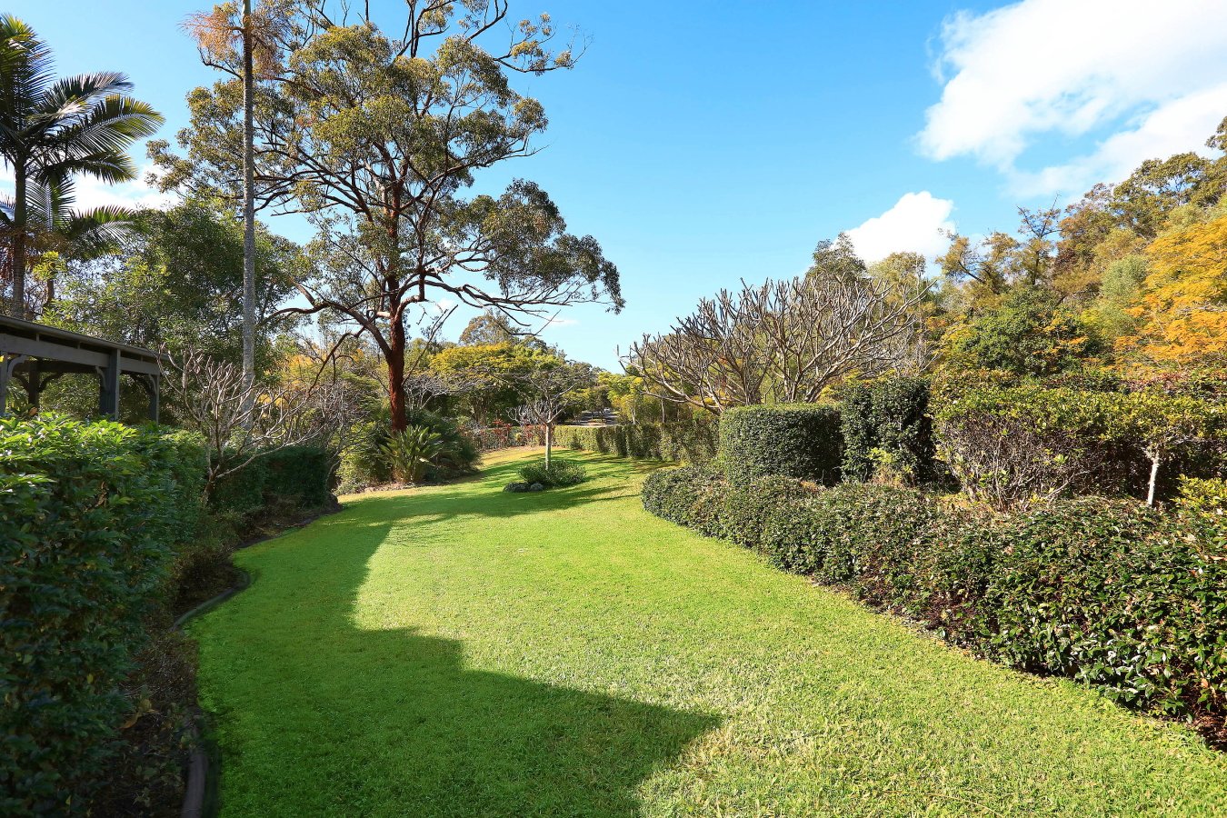 14 Canopy Drive BONOGIN 7