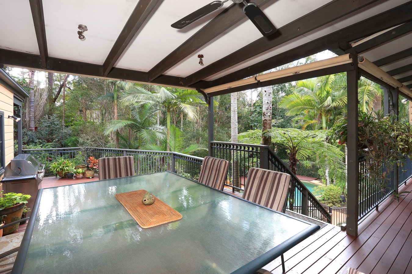 14 Canopy Drive BONOGIN 17