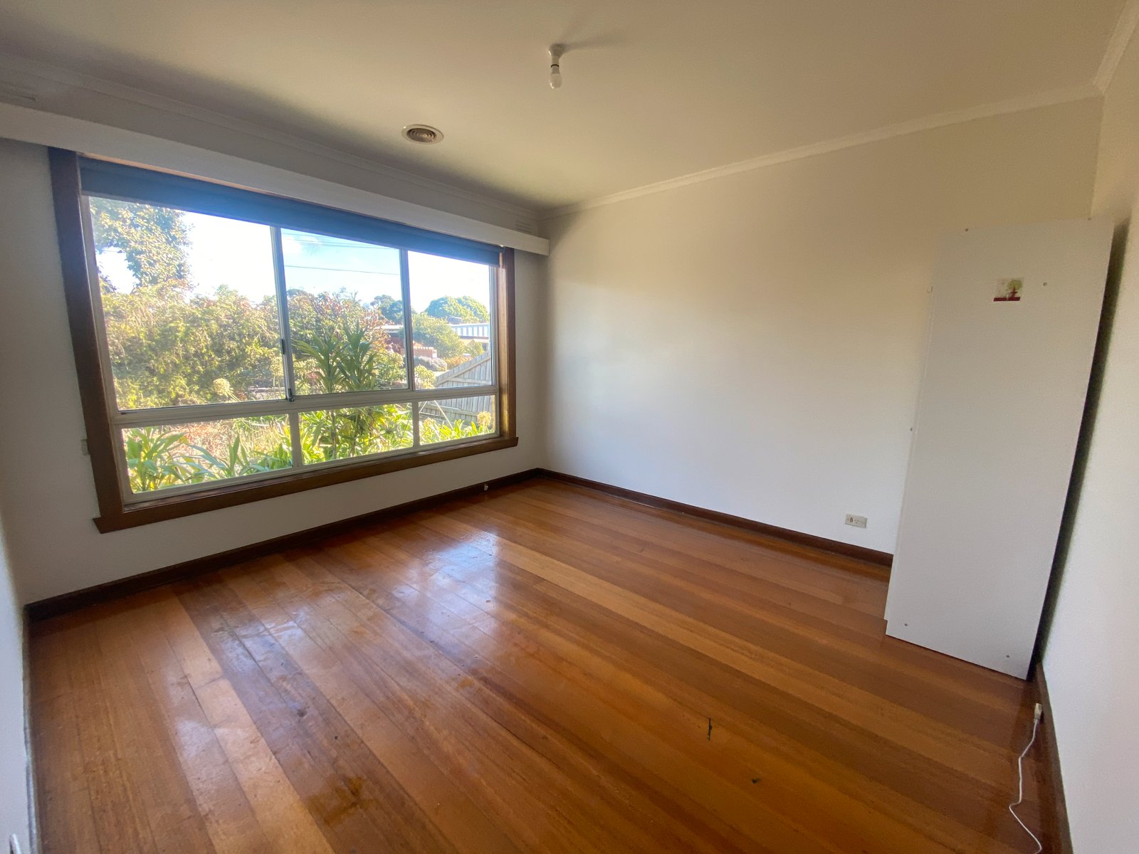 Gallery: 1/4 Carlson Avenue