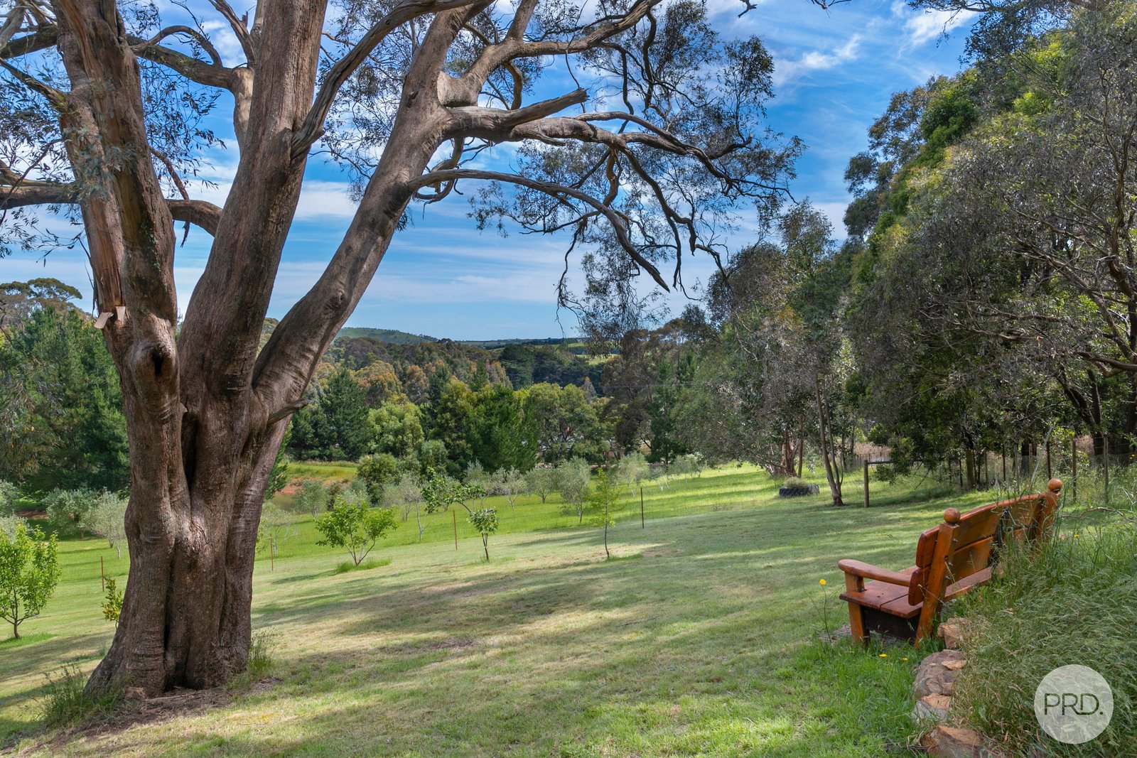 14 Carney Street West  MOUNT EGERTON 9
