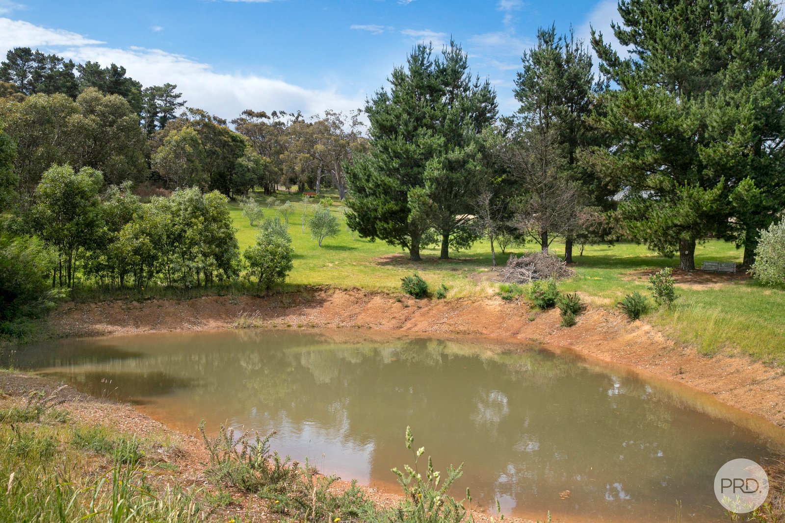 14 Carney Street West  MOUNT EGERTON 11