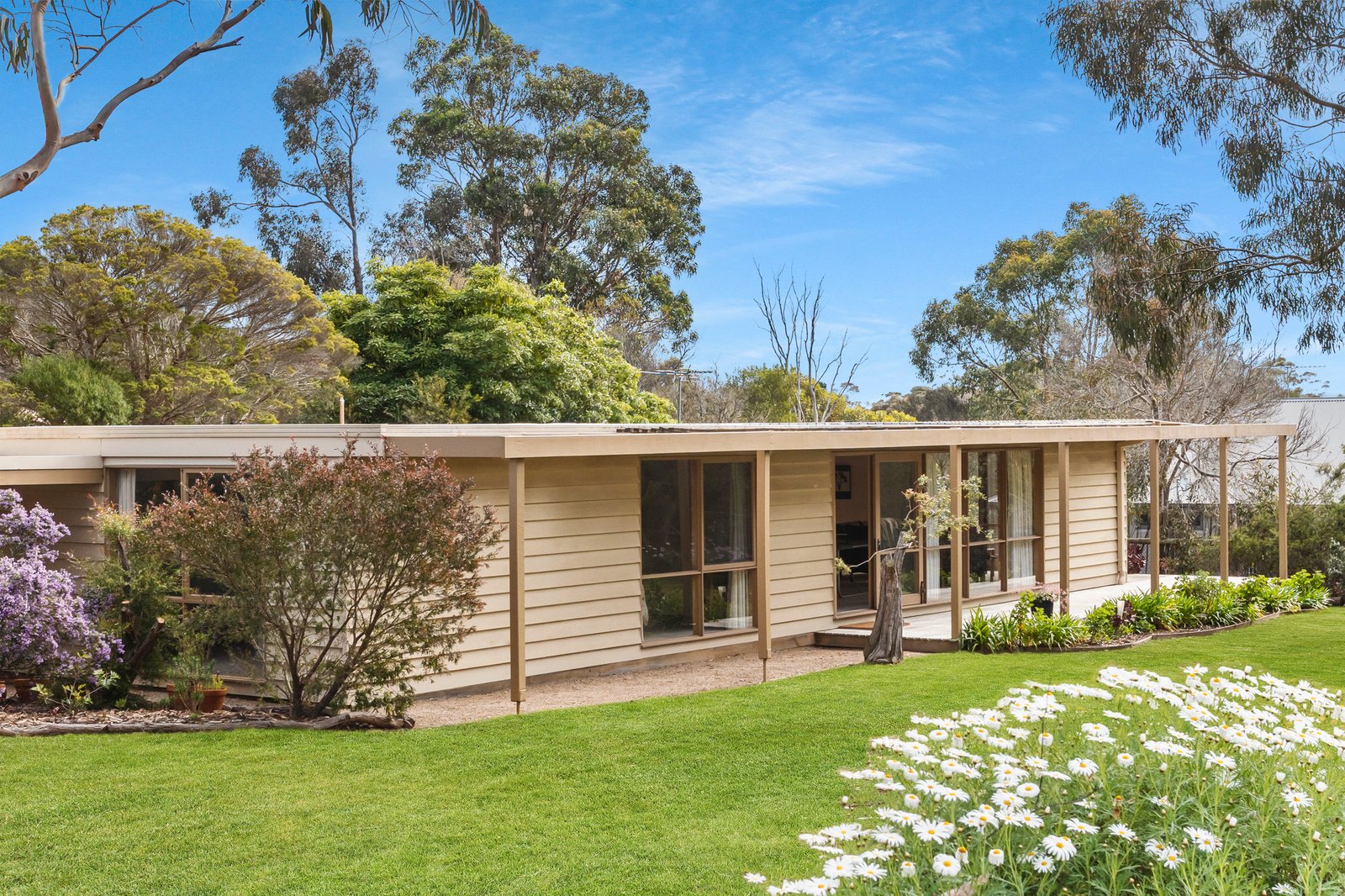 Gallery: 14 Charles Court