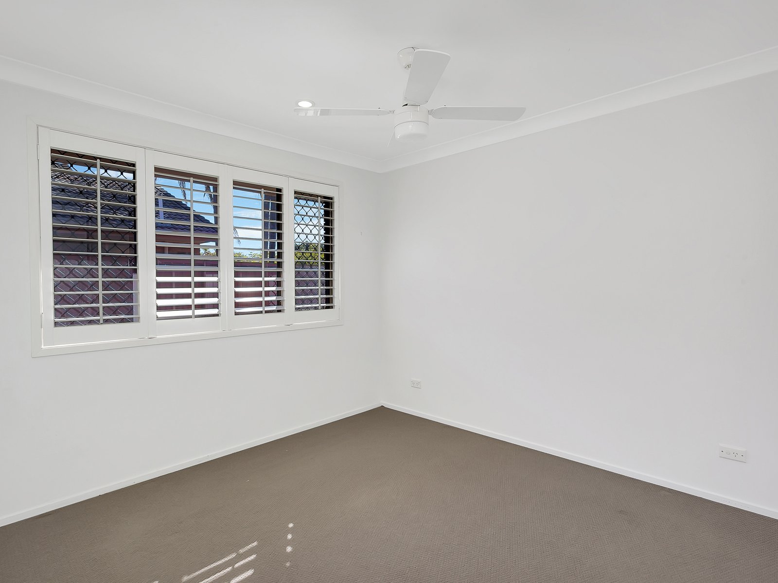 1/4 Cotinga Crescent BURLEIGH WATERS 4