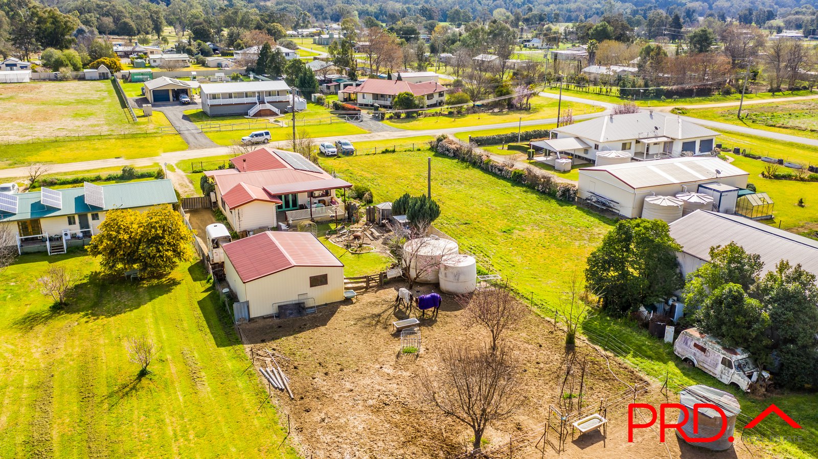 14 Duncan Street WOOLOMIN 23