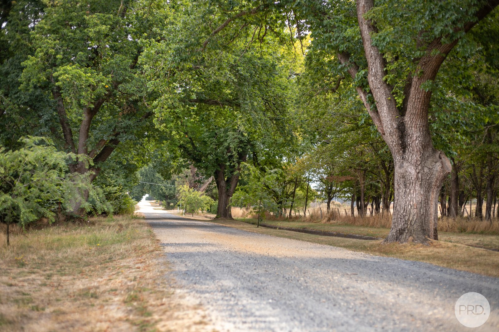 14 Elizabeth Street ALLENDALE 19