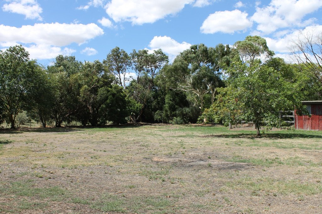 14 Elizabeth Street ALLENDALE 1