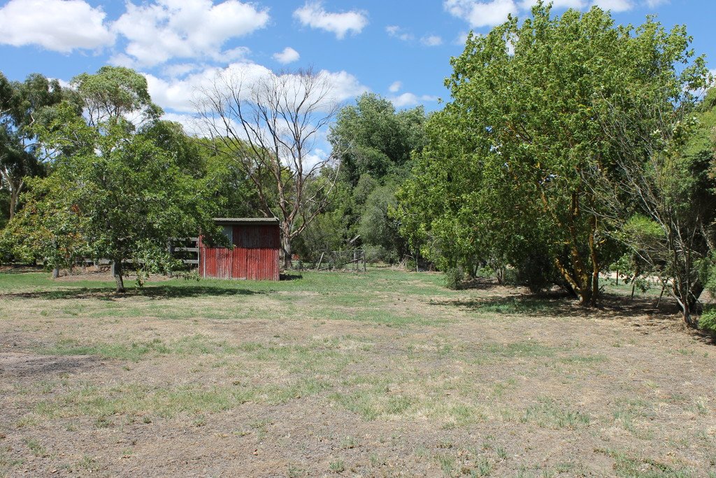 14 Elizabeth Street ALLENDALE 2
