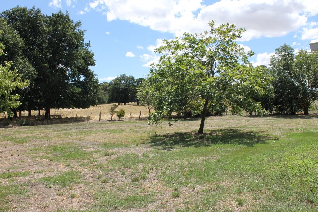 14 Elizabeth Street ALLENDALE 7