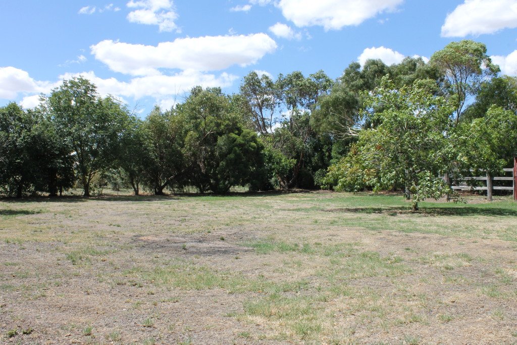 14 Elizabeth Street ALLENDALE 8