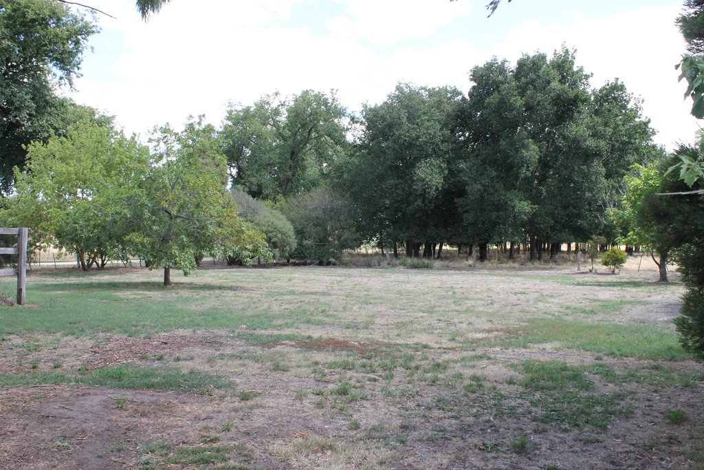 14 Elizabeth Street ALLENDALE 9