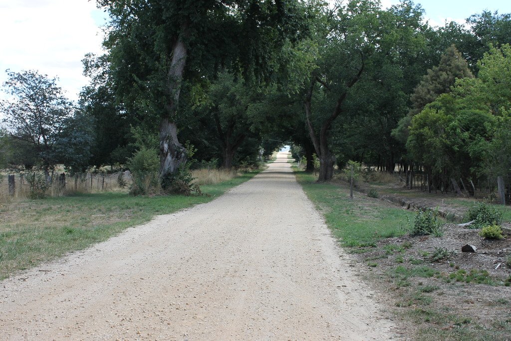 14 Elizabeth Street ALLENDALE 12