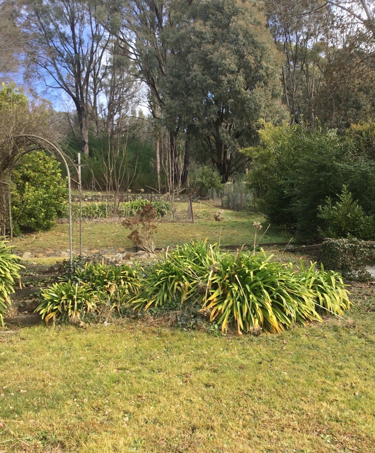 14 Eurabbie Street BATLOW 13