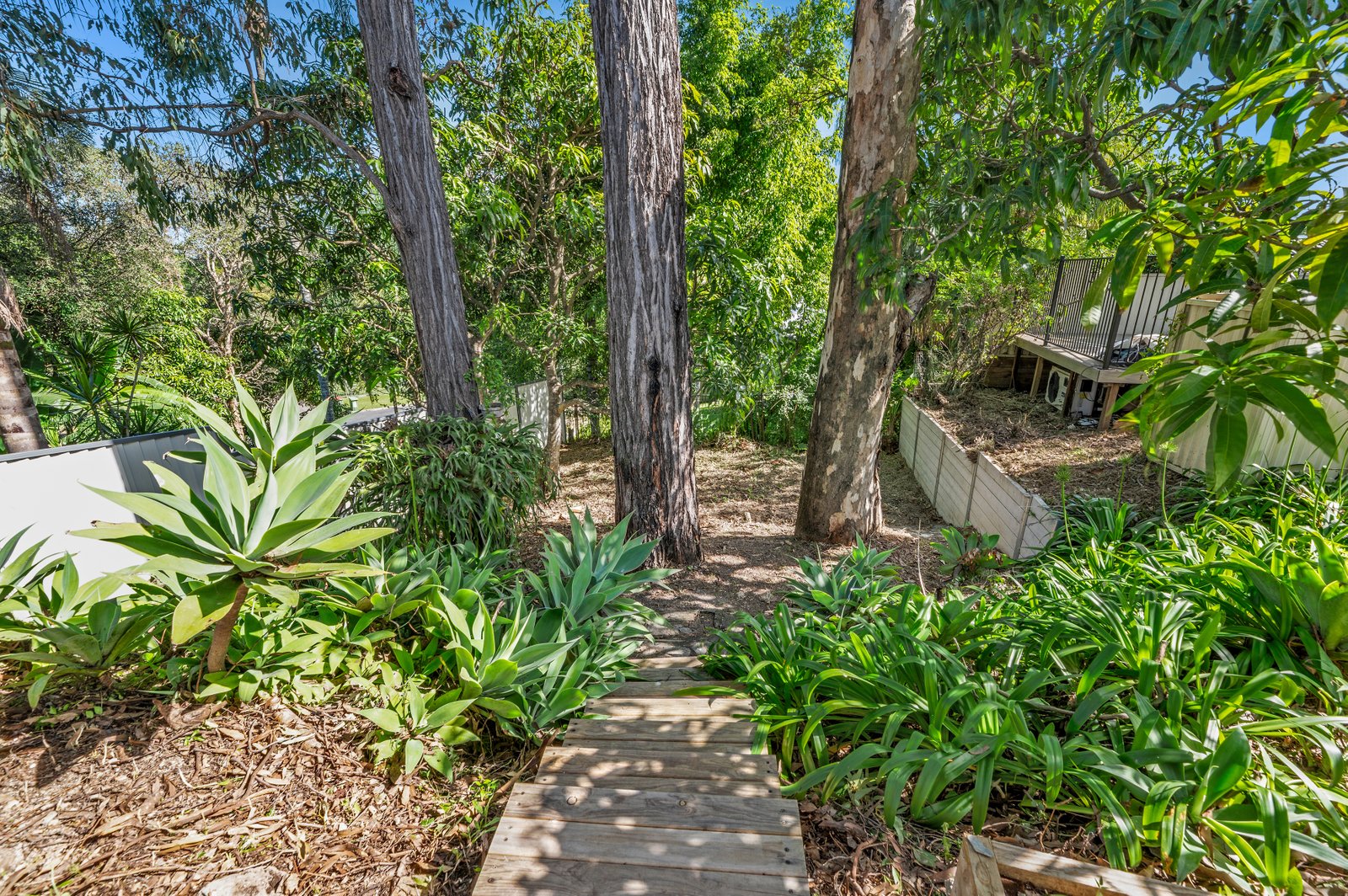 14 Forrest Avenue MOLENDINAR 18
