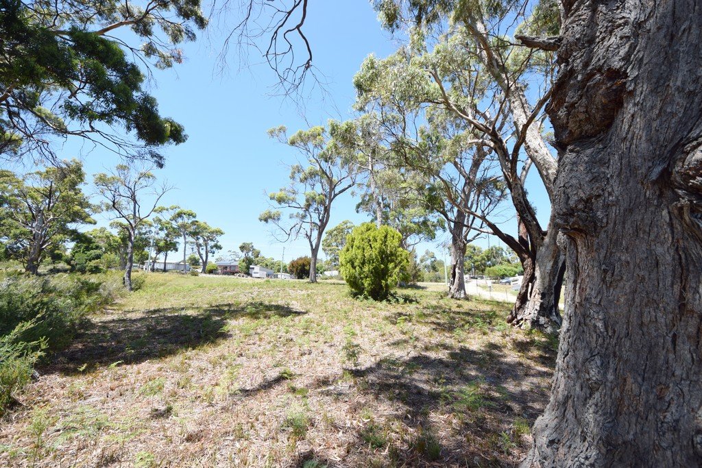 14 Fox Avenue WHITE BEACH 5