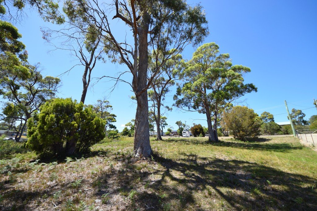 14 Fox Avenue WHITE BEACH 11