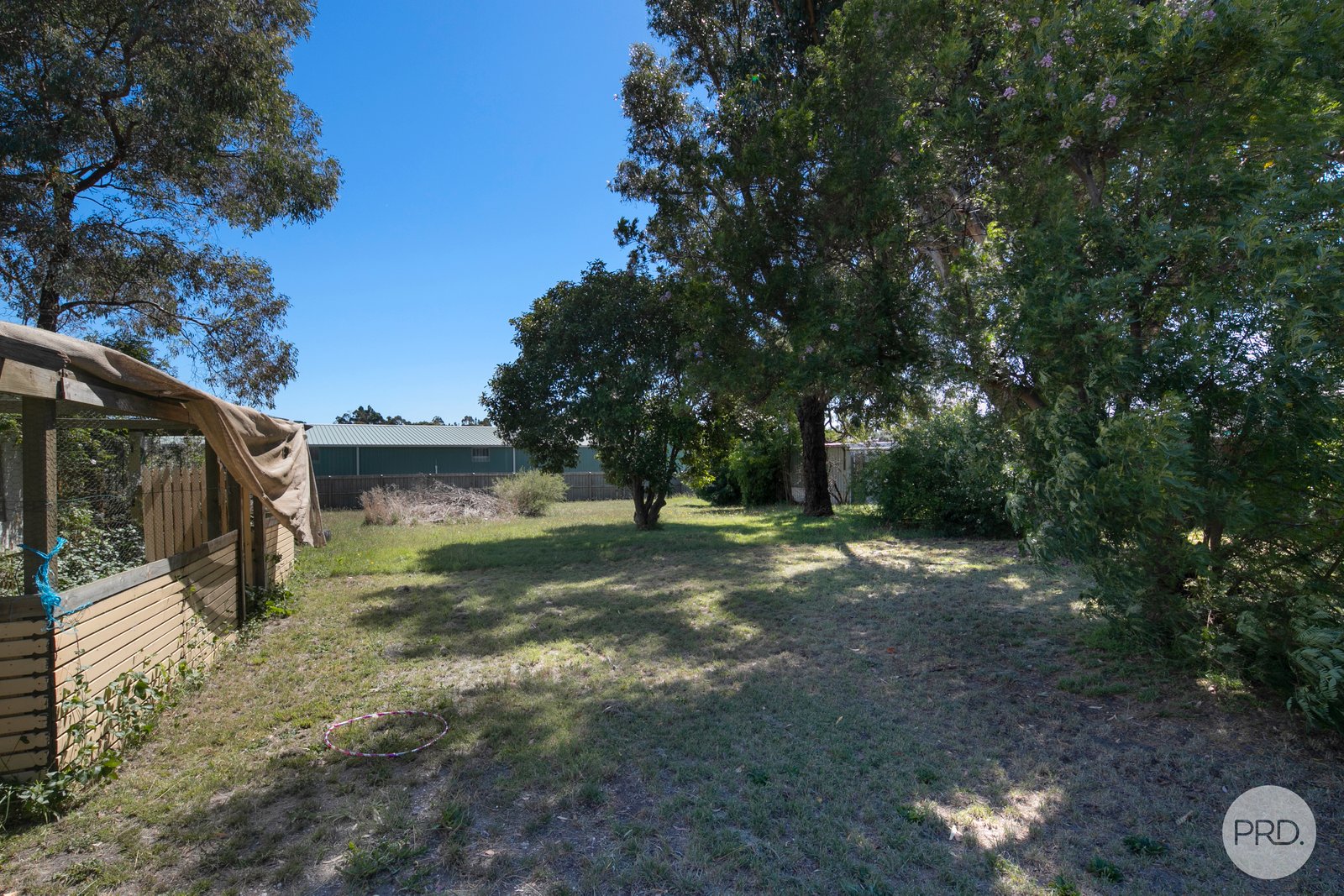 14 Gale Street CANADIAN 10