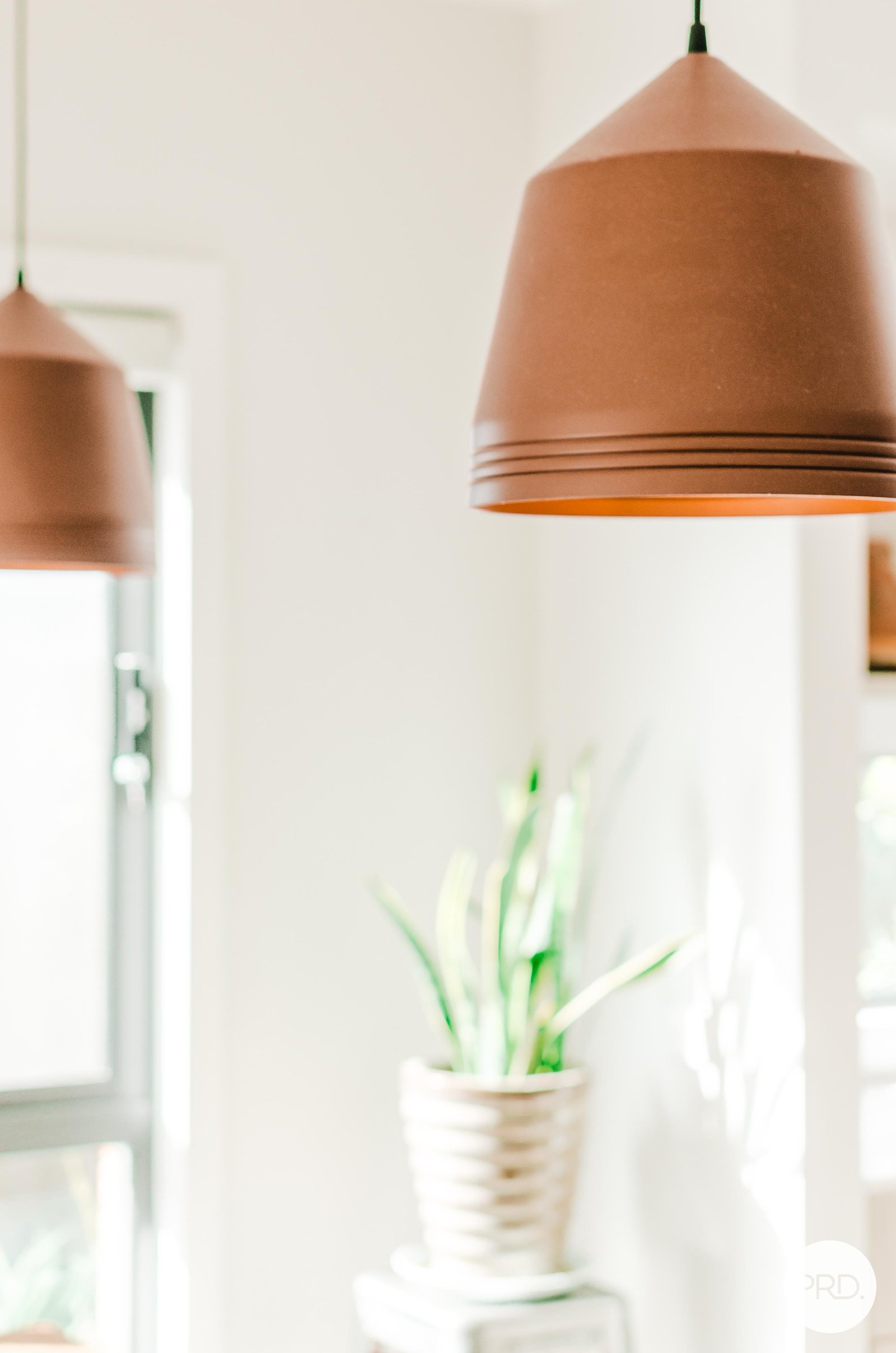 14 Goddard Street LUCAS 16