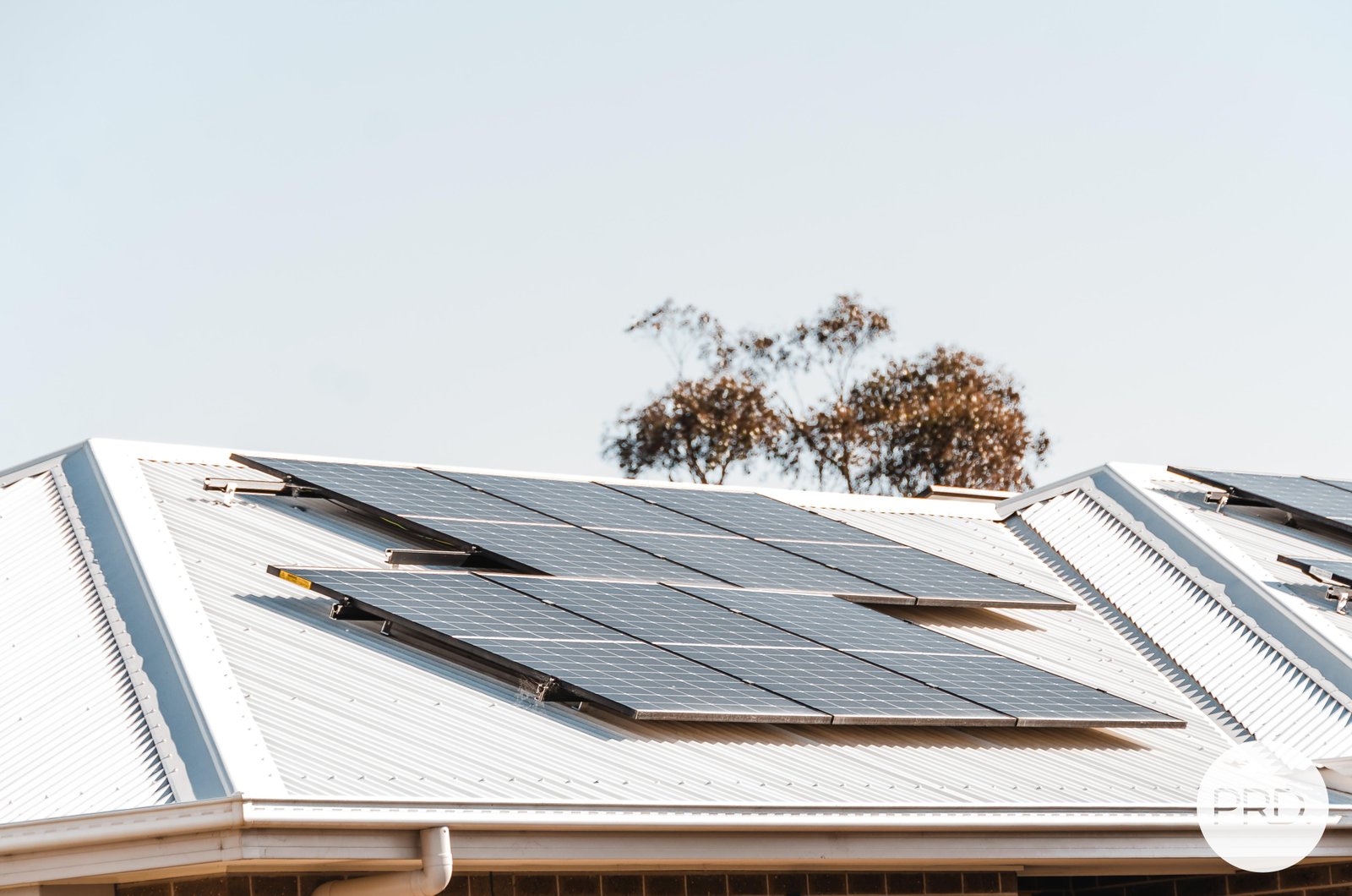 14 Goddard Street LUCAS 17